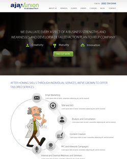Portfolio of Flat Website Design