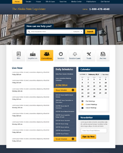 Portfolio of Flat Website Design