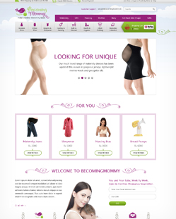 Portfolio of Flat Website Design