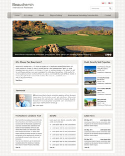 Portfolio of Flat Website Design