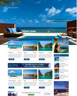 Portfolio of Flat Website Design