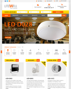 Portfolio of Flat Website Design