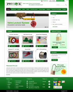 Portfolio of Flat Website Design