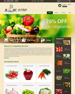 Portfolio of Flat Website Design