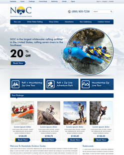 Portfolio of Flat Website Design