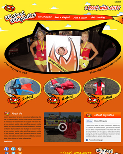 Portfolio of Flat Website Design